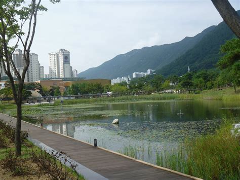  신성한 봉우리에서 바라본 풍경! 양산 공원의 숨겨진 매력에 빠지다!